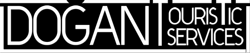 FLAMINGO VIP TRANSFER